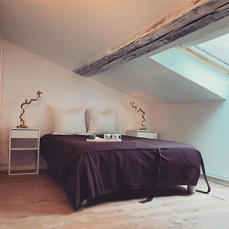 Superbe Duplex En Plein Coeur De Nancy Exteriör bild