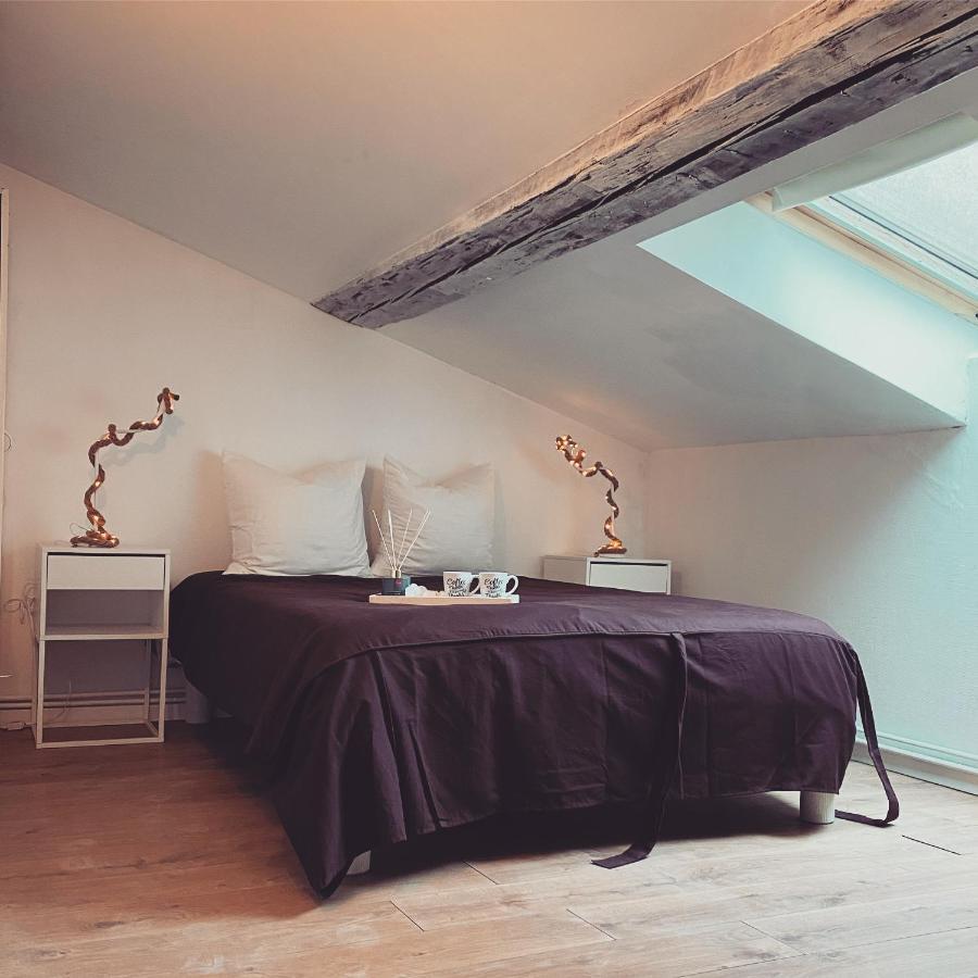 Superbe Duplex En Plein Coeur De Nancy Exteriör bild